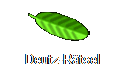 Deutz-Rätsel