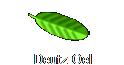Deutz Oel