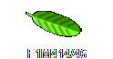 F1M414/46