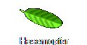 Hasenropfer