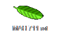 MAH 711 rot