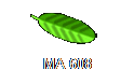MA 608